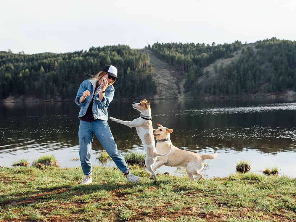 Your Dog Jumps Because It Works. Here's How to Make It Stop.