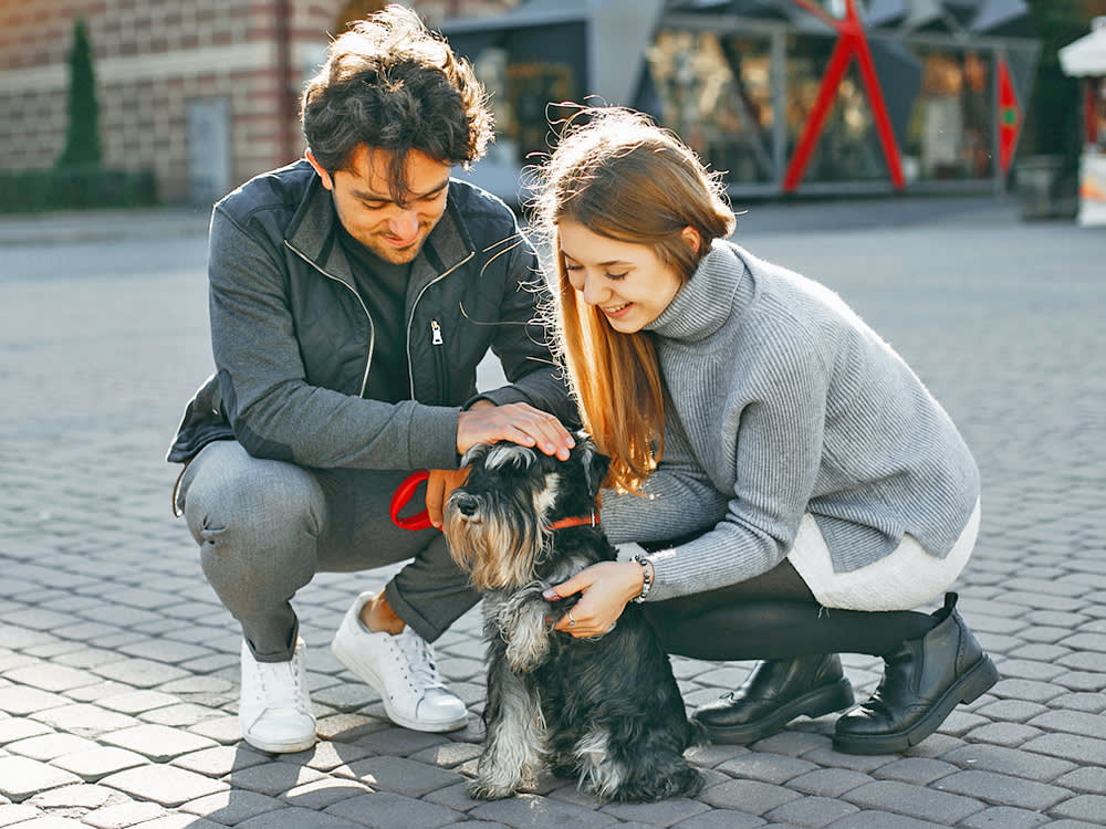 Everyone Calls Your Dog 'He.' The Reason Has Nothing to Do With Dogs.