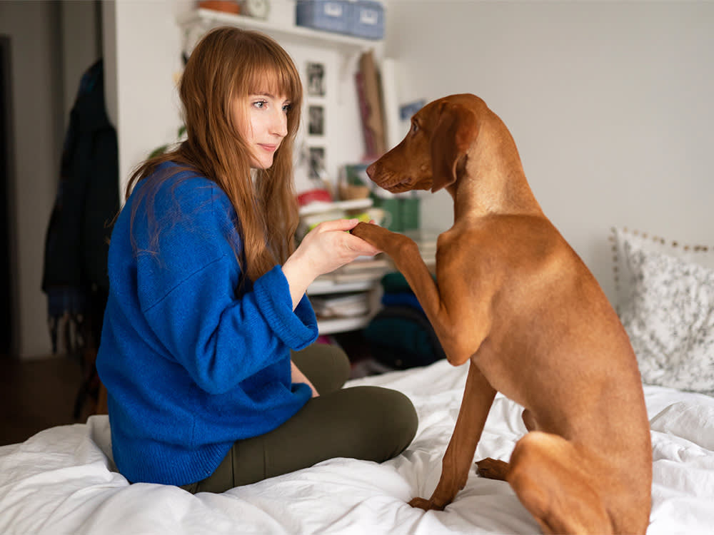 Your Dog Paws at You Because It Works. You're the One Who Taught Them