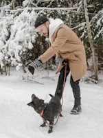 Some Dogs Fix a Tangled Leash. Yours Might Not, and It's Not About Smarts.