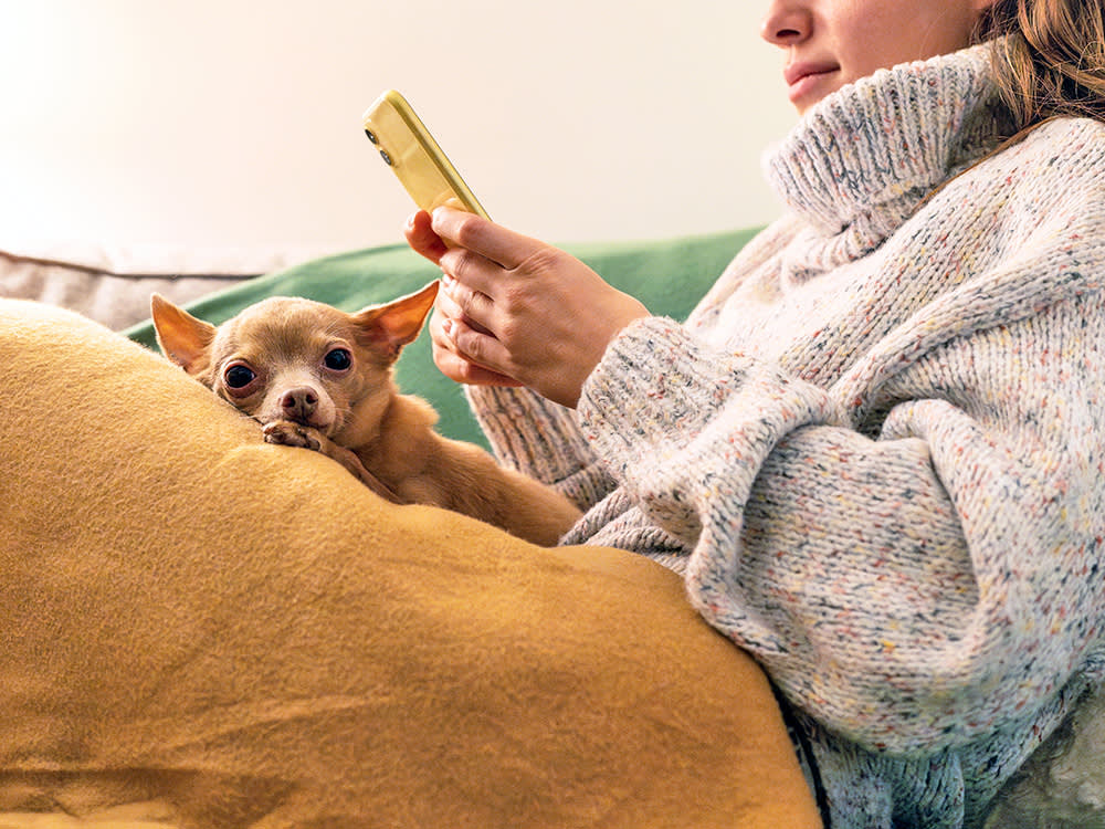 Your Dog Isn't Getting Sweeter in Winter. They're Getting Cold.