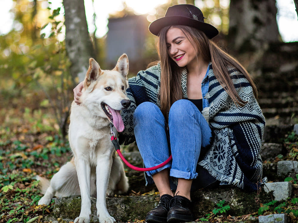 A Wolfdog Is Not a Fluffier Husky. Nobody Can Tell You What You Actually Own.