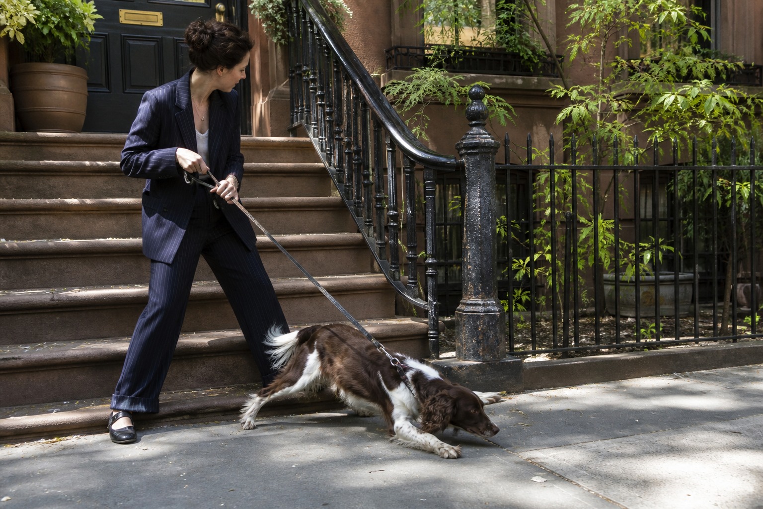 Charlotte's Two Dogs Are the Most Damning Thing in "Sex and the City"