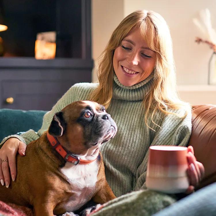 The 'Let Them' Theory Works on Pets. Because It's Just Management With Better PR.
