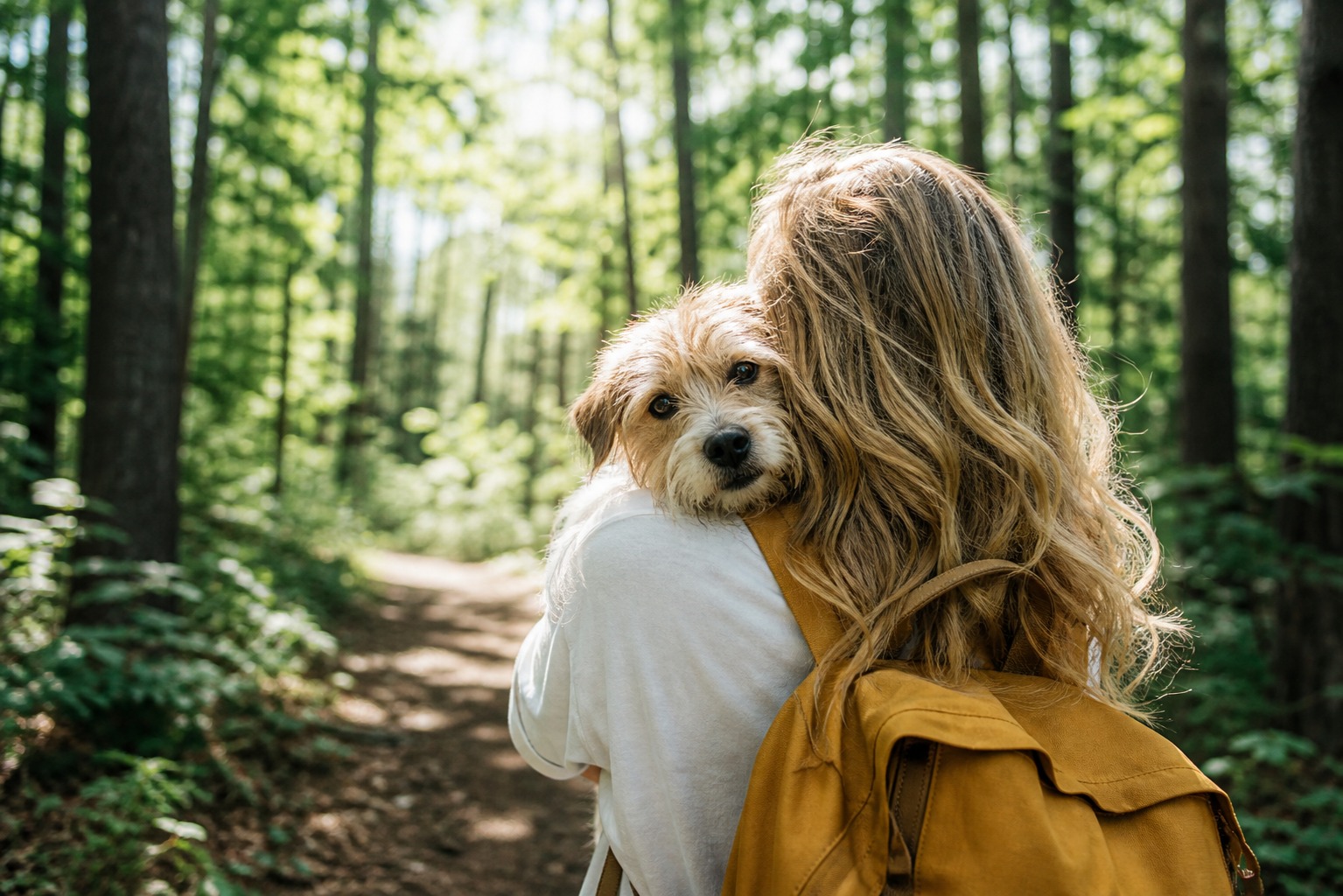 Your Dog Is the Only Reason You'll Actually Go Outside. Use It.