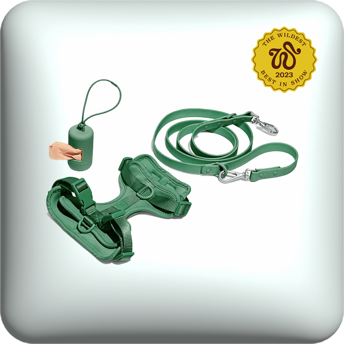 Wild One harness and leash walk kit in spruce color