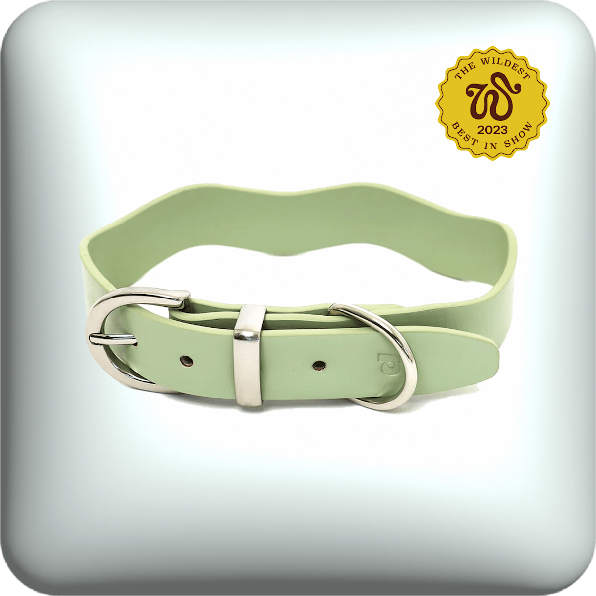 Daisy by Shelby Dixie sage dog collar