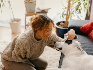 'Bad Dog' Says More About You Than Your Dog