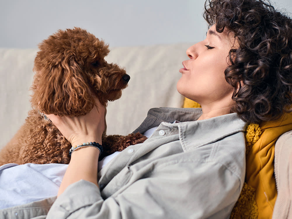 Your Dog Doesn't Love the Word. It Loves the Promise.