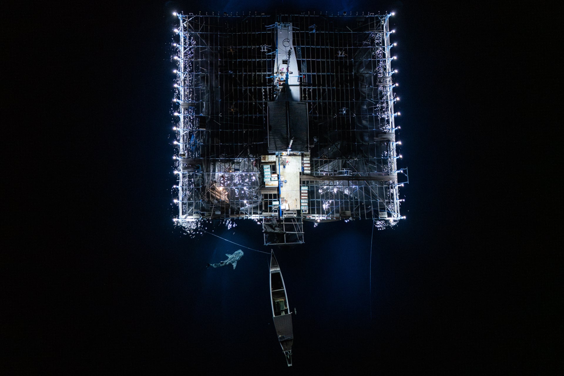 An overhead night shot of a whale shark near a lit fishing platform, with a small boat below.