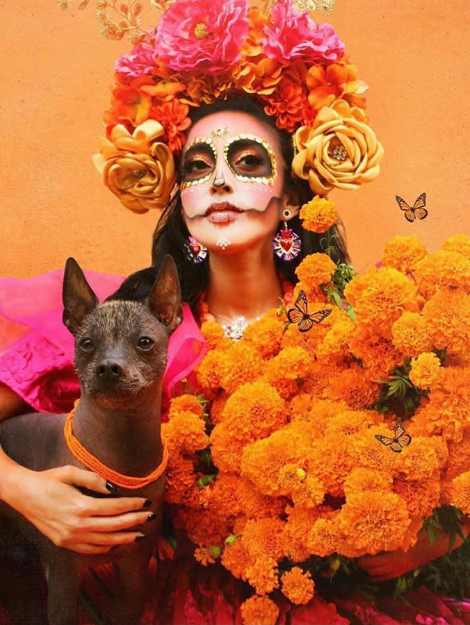 The Dog That Guides the Dead Outlived Its Own Bloodline