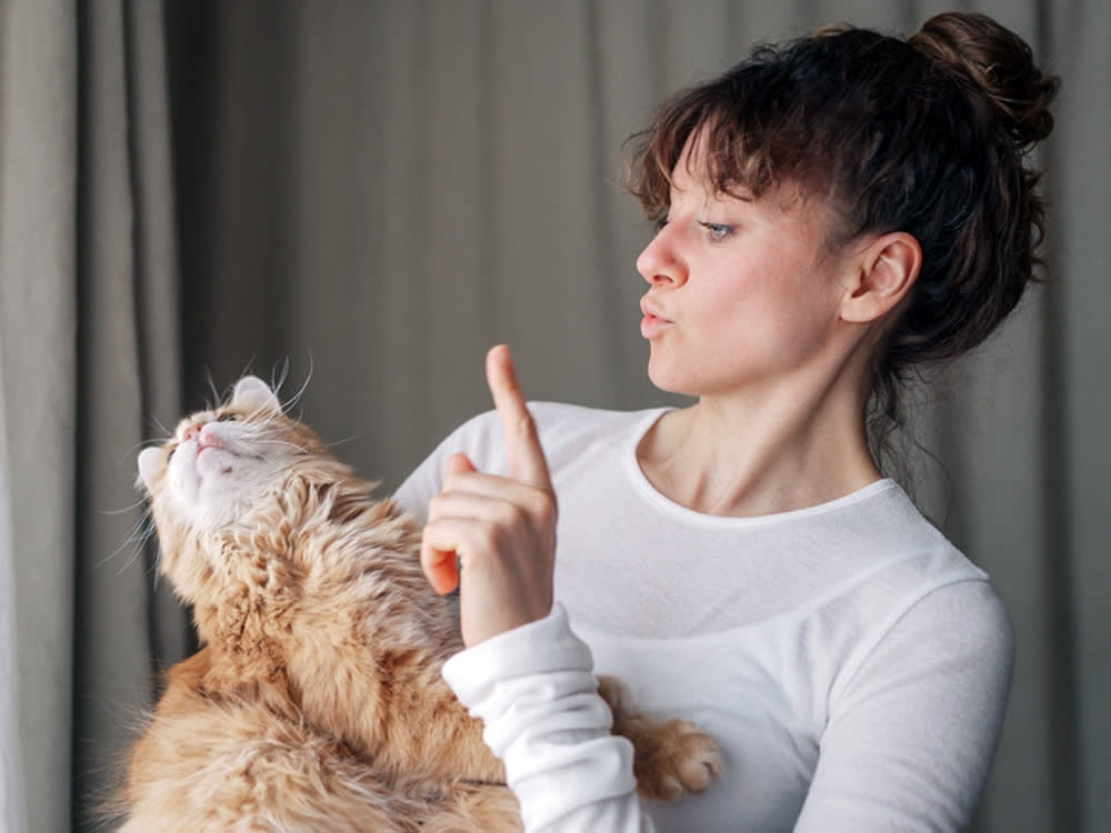 You Can't Discipline a Cat. Trying Is Making the Behavior Worse
