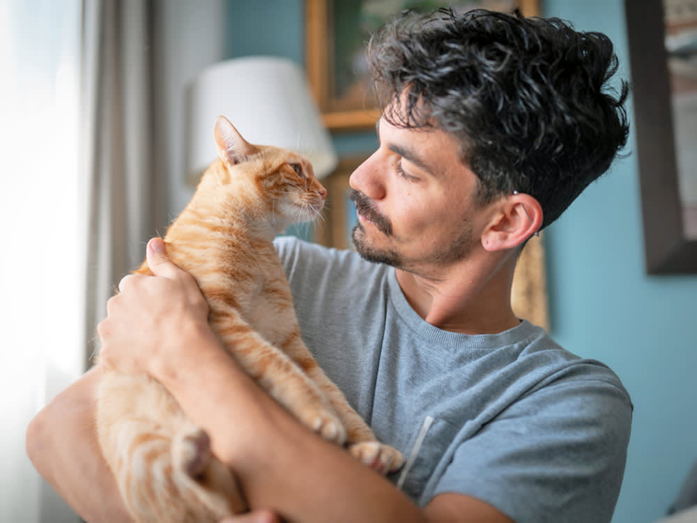 Your Cat Is Not Judging You. Your Cat Cannot Judge You.