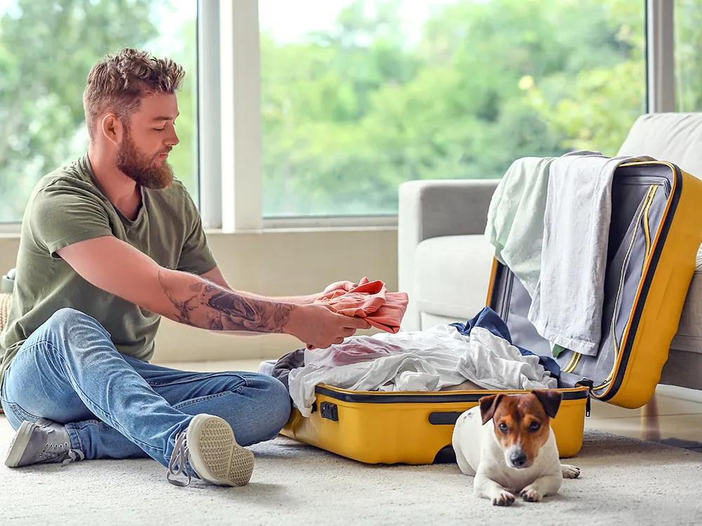 Your Dog Is Not Lying by the Door Missing You
