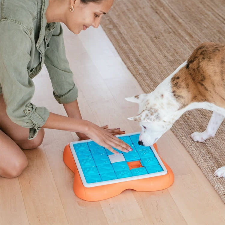 Your Dog Isn't Bored. They're Underemployed. 8 Puzzles That Fix It.