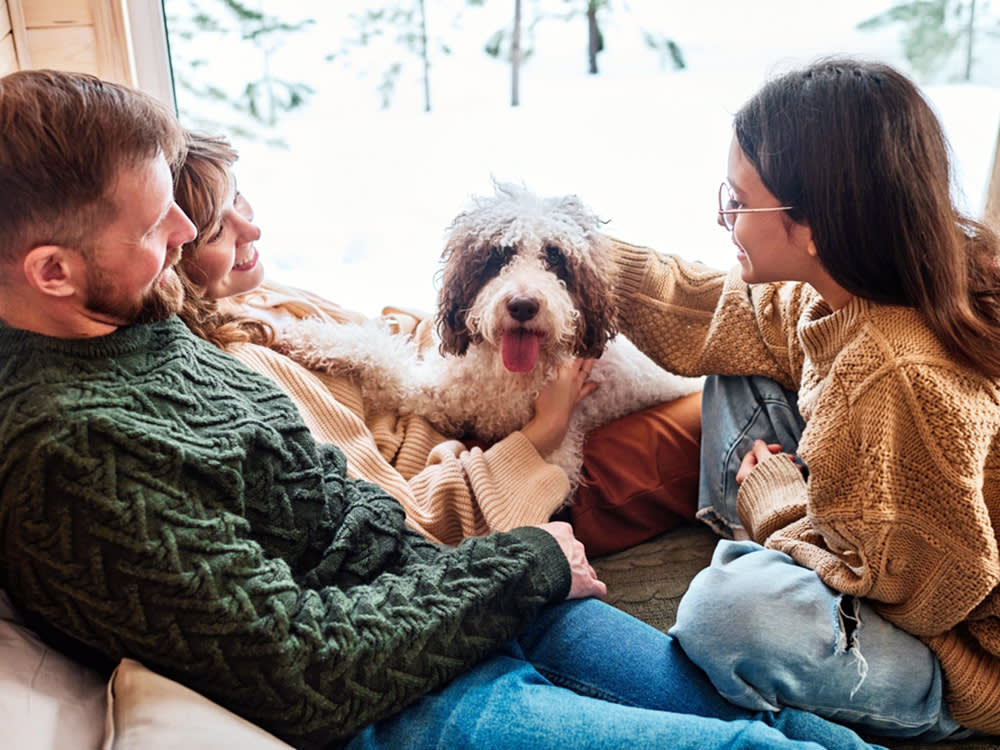 Your Dog Isn't Reading Your Face. They're Reading Your Hand on the Leash.