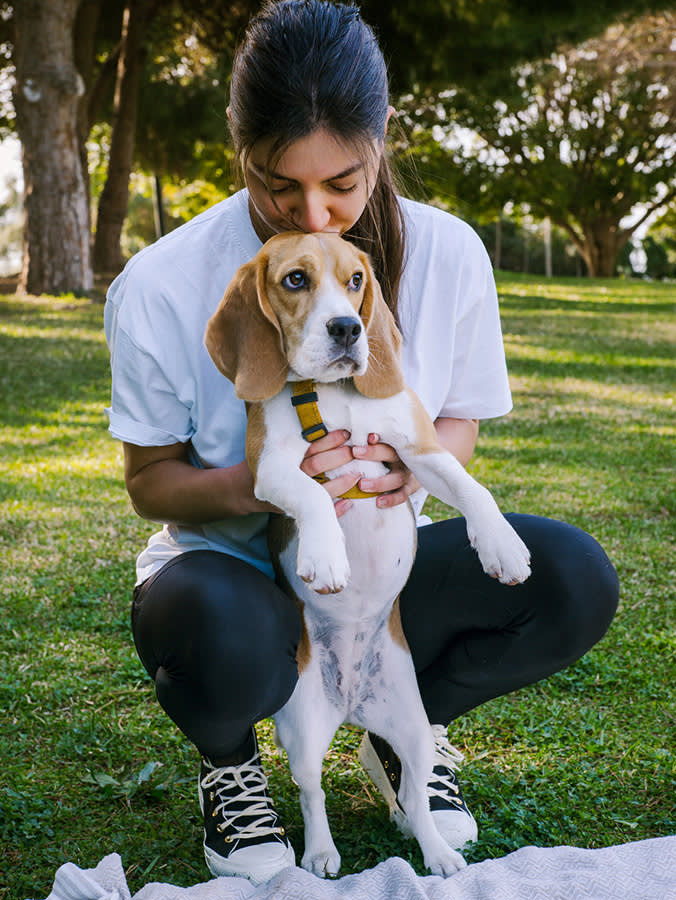 Your Dog Puts Up With Your Kisses. That's Not the Same as Loving Them