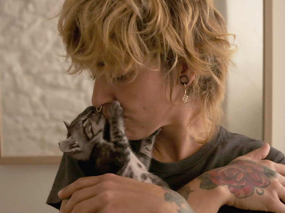 Your New Cat Is Going to Vanish. Plan for That, Not the Homecoming Photo